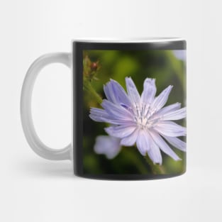 Purple chicory flower Mug